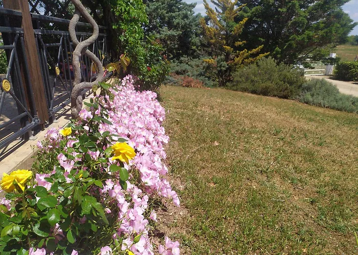 Hill View 4