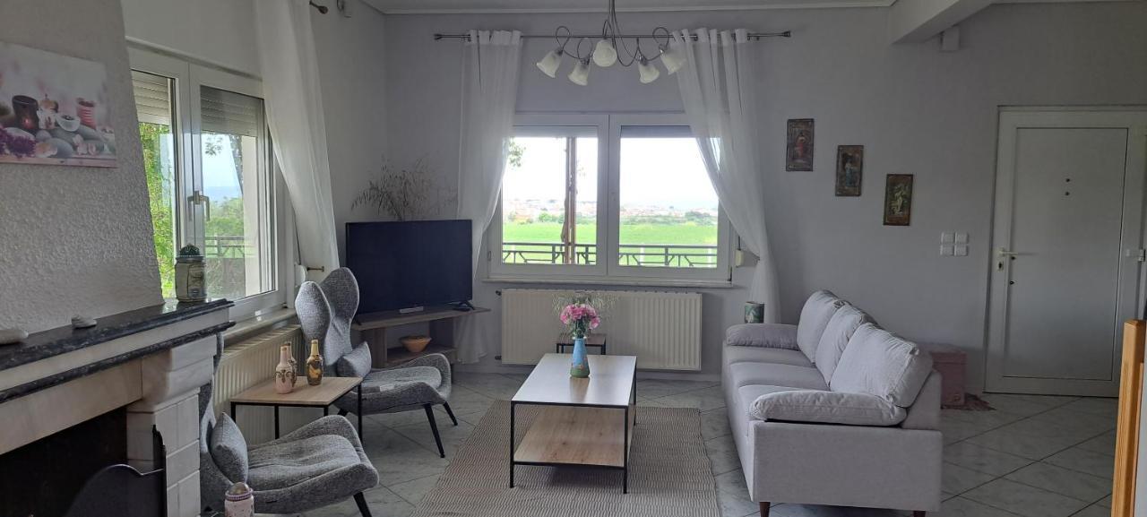 Hill View 4 *
