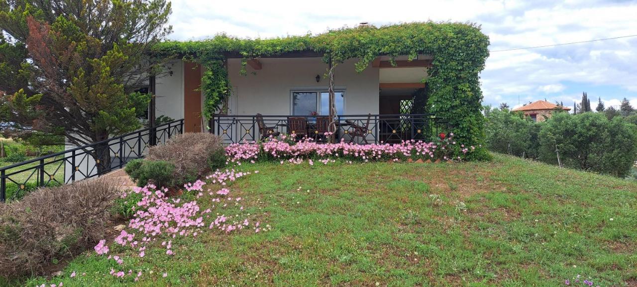 Villa Hill View 4 Alexandroupoli